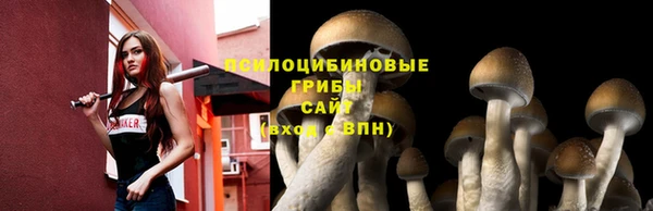 метадон Заволжье