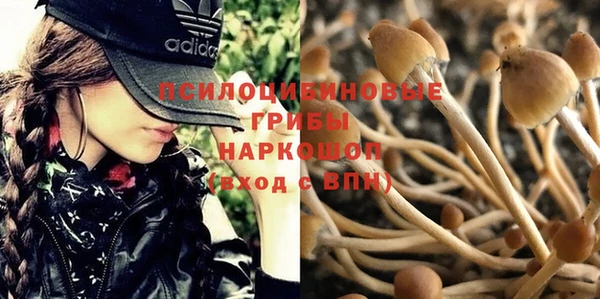 метадон Заводоуковск