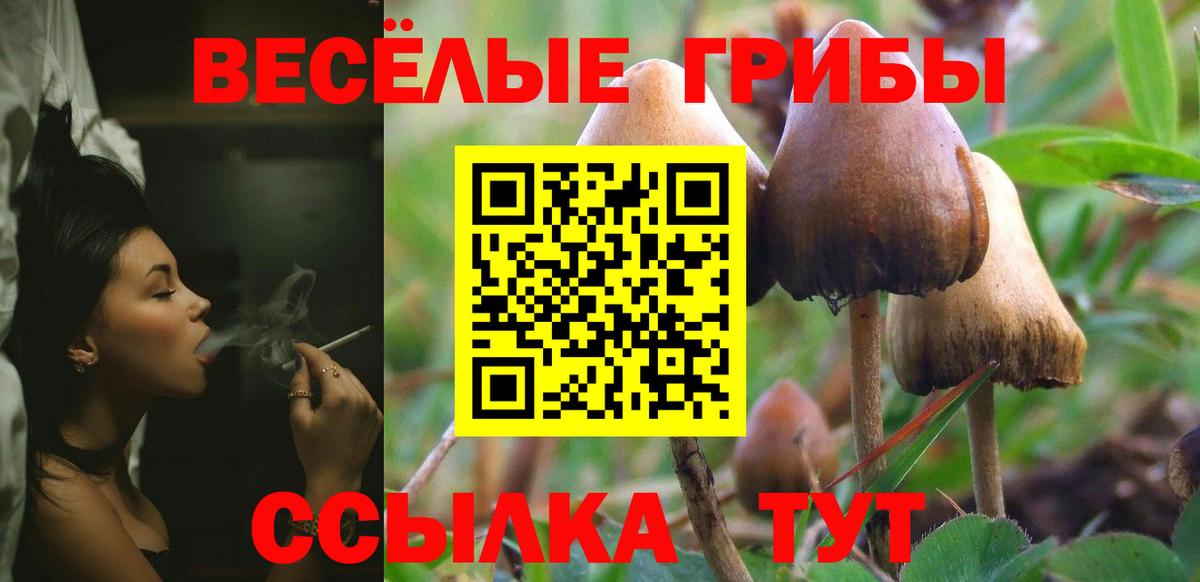 Псилоцибиновые грибы мухоморы  Вход с VPN  Ипатово 
