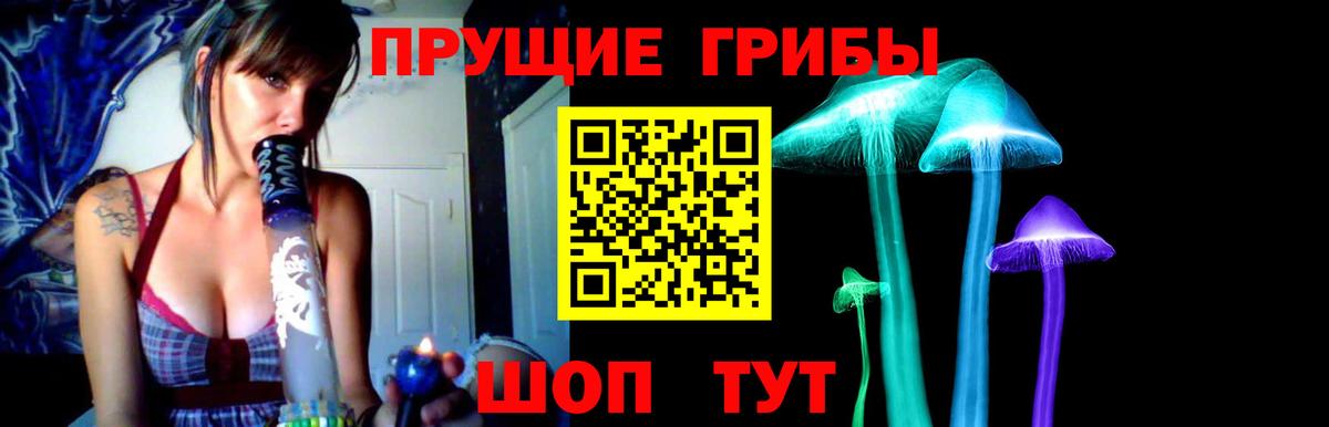 Галлюциногенные грибы Psilocybine cubensis Ипатово
